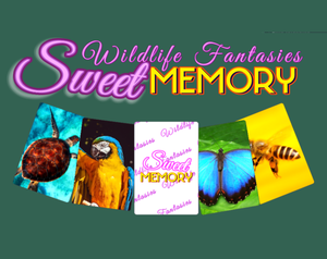 play Sweet Memory - Wildlife Fantasies