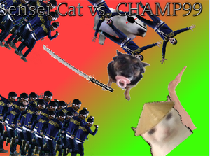 Sensei Cat Vs Champ99