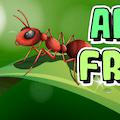 play Ants: Fruits
