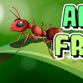 Ants: Fruits