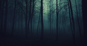 play The Forest