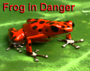 play Frog In Danger