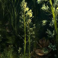play Big-Flowers Light Forest Escape Html5