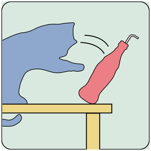 play Cat On The Table