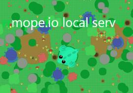 play Mope.Io Local Server