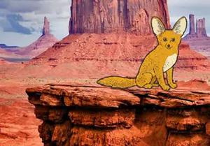play Finding Crazy Camel