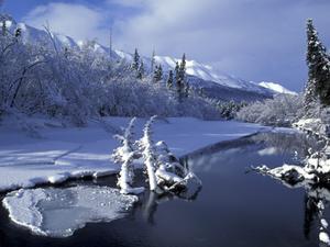 play Cold Adventure