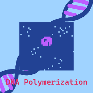 play Dna Polymerization