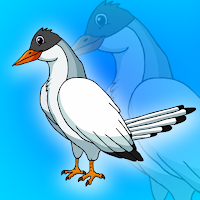 play G2J-Arctic-Tern-Rescue