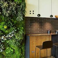 Gfg-Eco-Apartment-Room-Escape