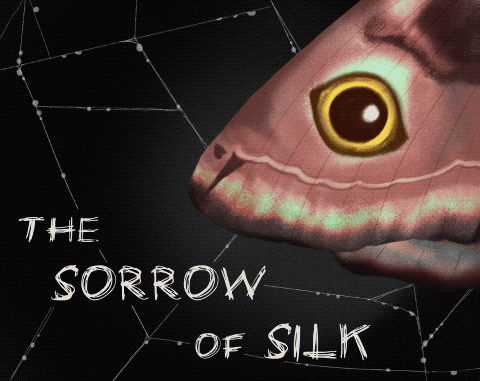 play The Sorrow Of Silk