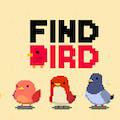 play Find Bird