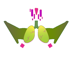 play Organ Fai-Success