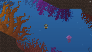 play The Reef Experience