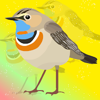 play Fg Liberate The Bluethroat Nightingale