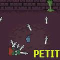 play Petit Rogue