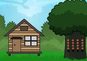 play Baby Brinjal Rescue