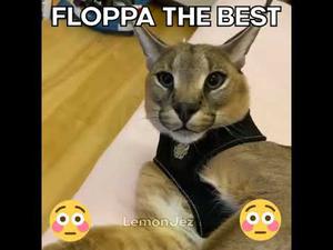 play Lightning Floppa Attack