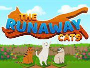 The Runaway Cats