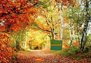 play Pleasant Autumn Forest Escape