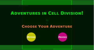 play Adventures In Cell Division!