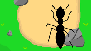 play Ant Attack
