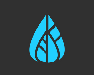 play Oryverse Beta