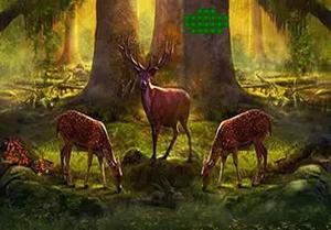 play Astonishing Deer Forest Escape