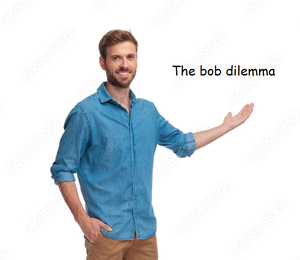 play The Bob Dilemma