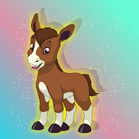 play G2J Rescue The Little Funny Foal