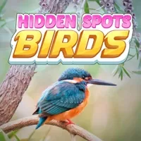 play Hidden Spots - Birds