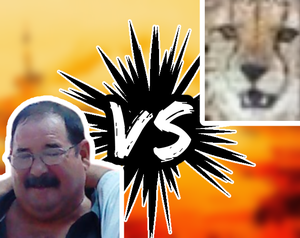 play Jo Martin Vs. Angery Cheetah