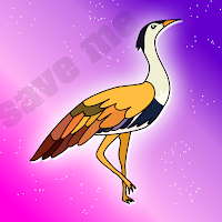 play Fg The Great Indian Bustard Escape
