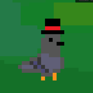 play Touch Melbourne - Pigeon Plan