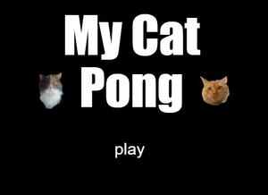 play My Cat Pong
