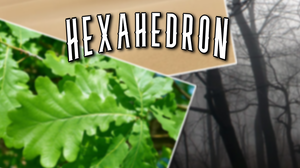 play Hexahedron