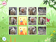 play Story Zoo