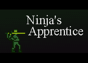 play Ninja'S Apprentice