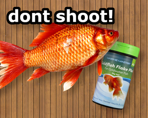 Dont Shoot! A Fish In A Barrel