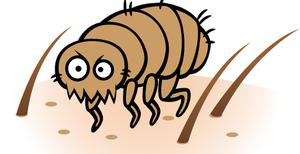 play Fleas - Awsome - Full Version