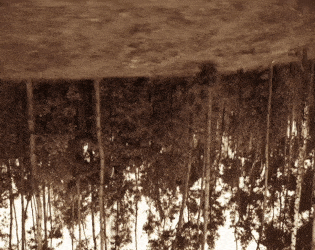 play The Mouth Of The Woods