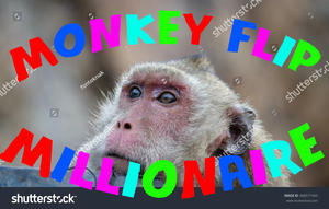 Monkey Flip Millionaire