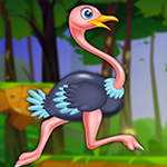 play Playful Ostrich Escape