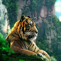 play Escape From Tiger Forest Html5