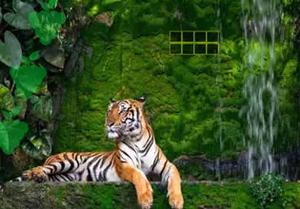 play Escape From Tiger Forest
