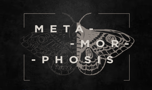 Metamorphosis