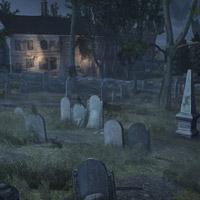play Graveyard-Animals