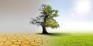 play Climate Heroes