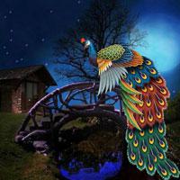 play G2R-Alluring Peafowl Escape Html5