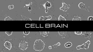 play Cell Brain